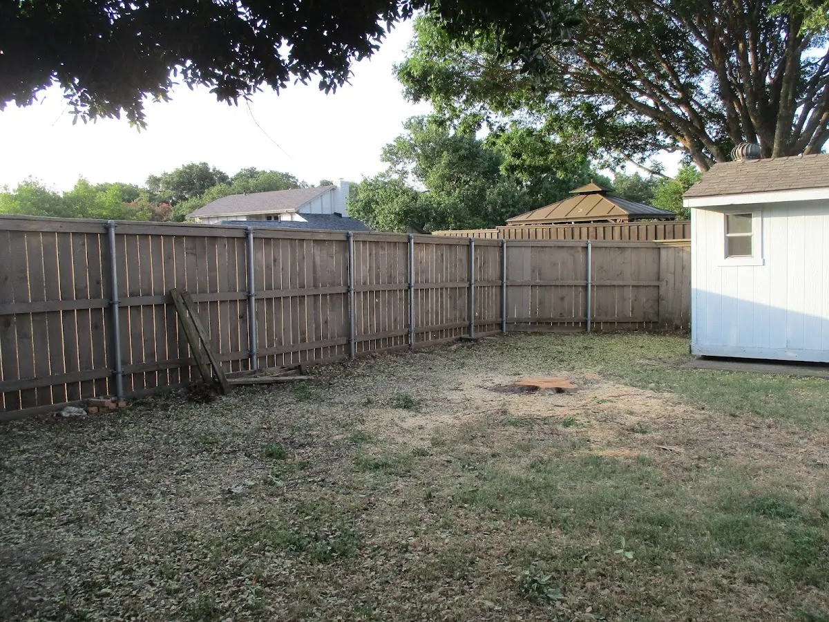 Cleared yard after professional tree removal in Footville